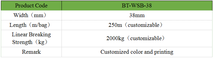 38mm Polyester Lashing Strapping