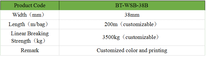 38mm Polyester Lashing Strapping